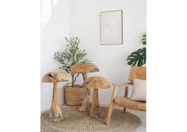  פטריות דקורטיביות מעץ טיק